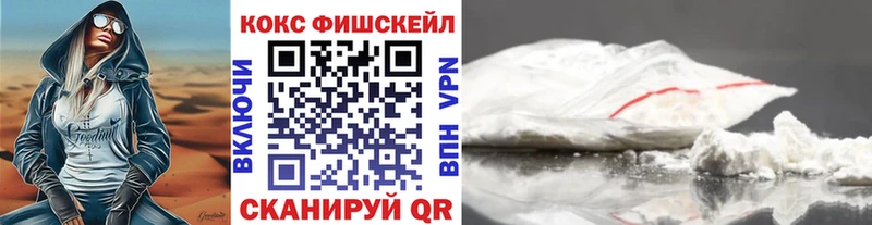 магазин  наркотиков  Вологда  COCAIN Fish Scale 