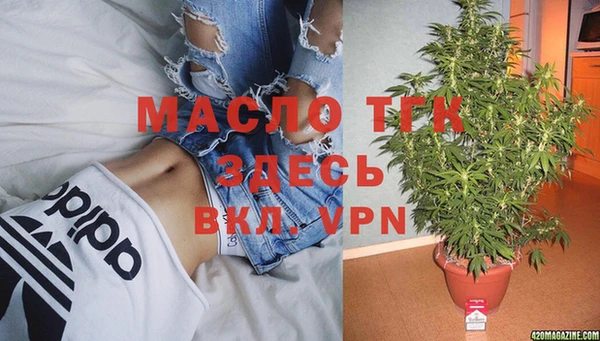 крисы Абаза
