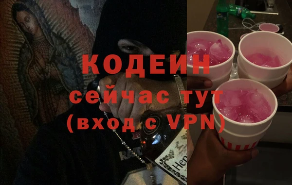 крисы Абаза