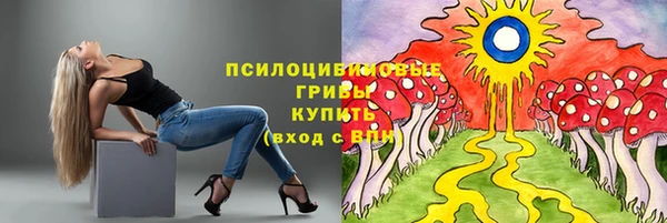 ГАЛЛЮЦИНОГЕННЫЕ ГРИБЫ Абинск